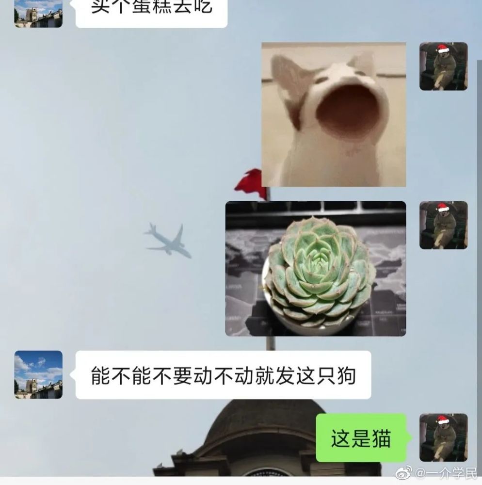 手滑把男朋友的表情包,发给暧昧对象……哈哈哈哈哈哈窒息了! 手滑把男朋友的表情包,发给暧昧对象……哈哈哈哈哈哈窒息了!