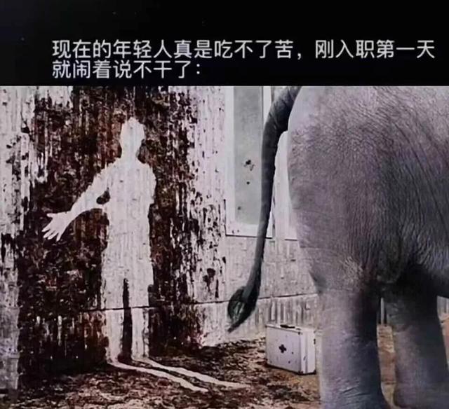 神回复:还有50公里下高速,我该怎么办? 神回复:还有50公里下高速,我该怎么办?