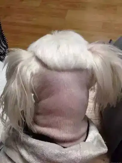 轻松一刻:懂行的来,这签名是真的还是假的? 轻松一刻:懂行的来,这签名是真的还是假的?