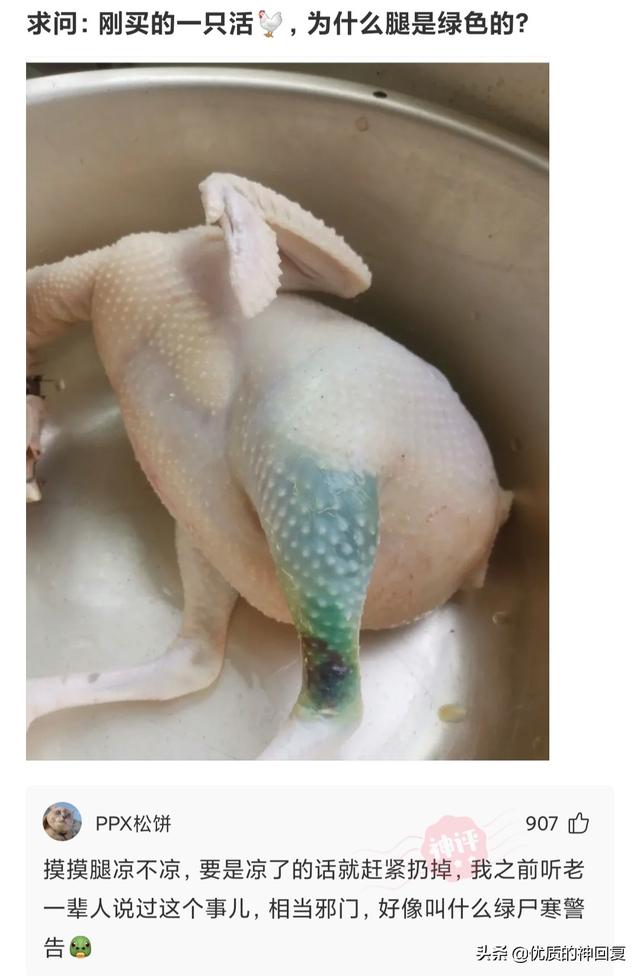 神回复：假如你是一名永生者，你怎样做才能避免自己的身份暴露？