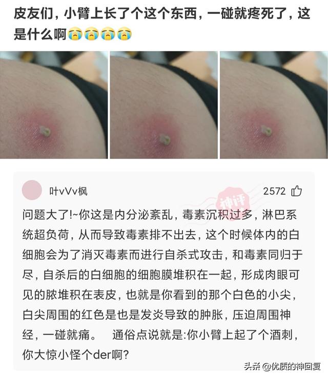 神回复：假如你是一名永生者，你怎样做才能避免自己的身份暴露？