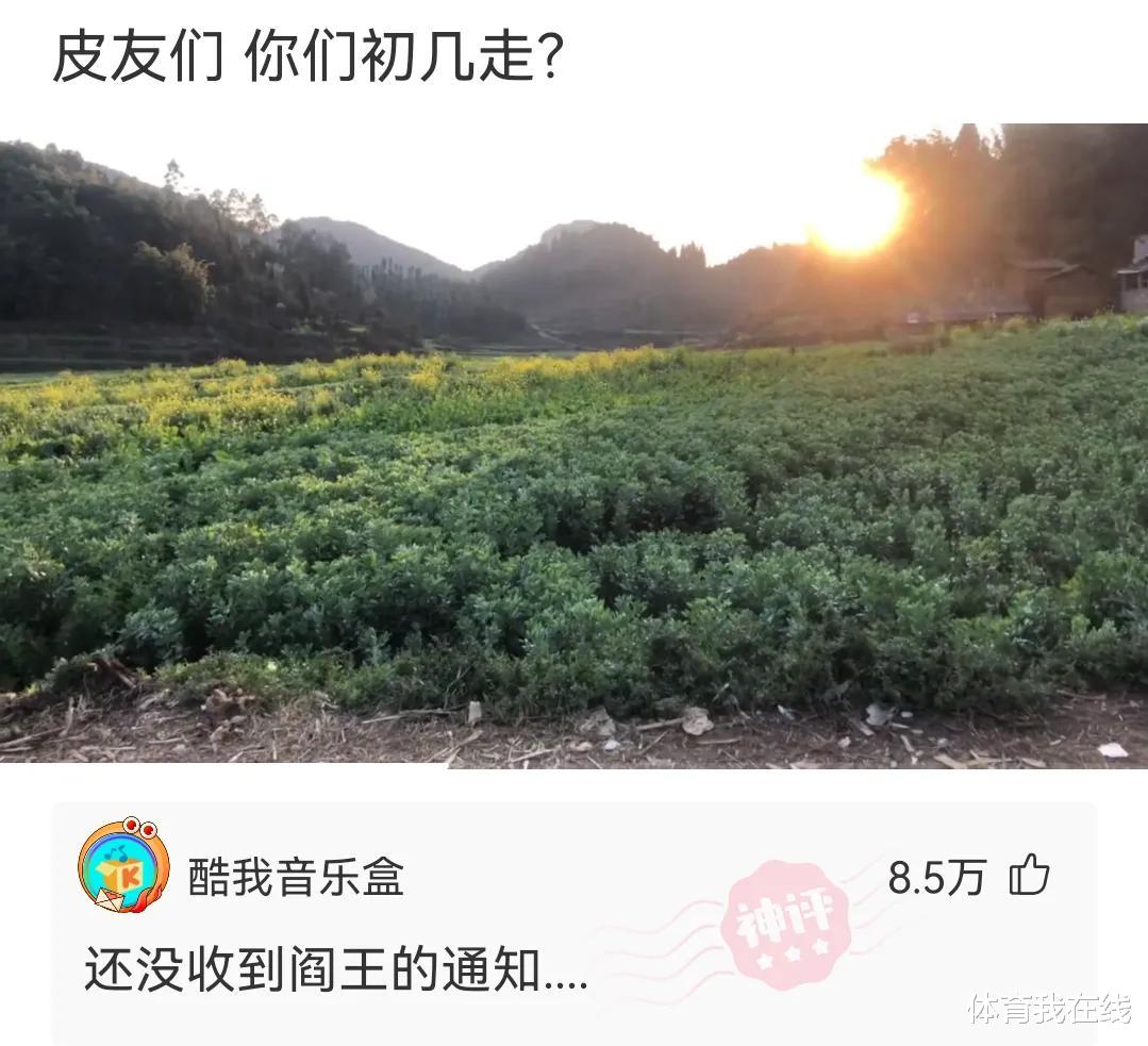 “可以在朋友圈‘装X’的图片，拿走不用谢～”哈哈哈哈哈哈～～