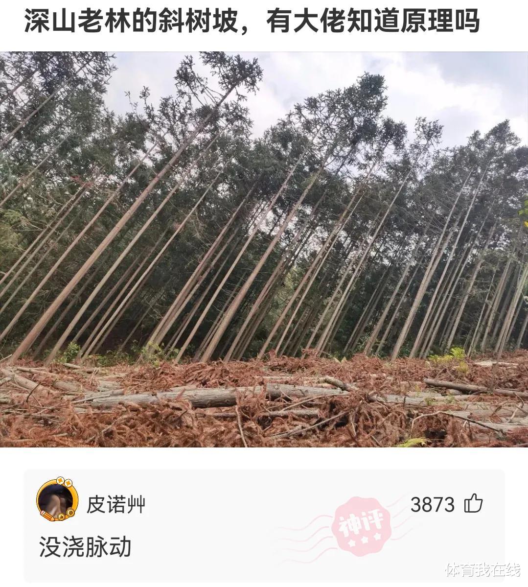 “可以在朋友圈‘装X’的图片,拿走不用谢~”哈哈哈哈哈哈~~ “可以在朋友圈‘装X’的图片,拿走不用谢~”哈哈哈哈哈哈~~
