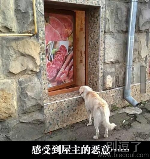 你是不是看得饿了 你是不是看得饿了