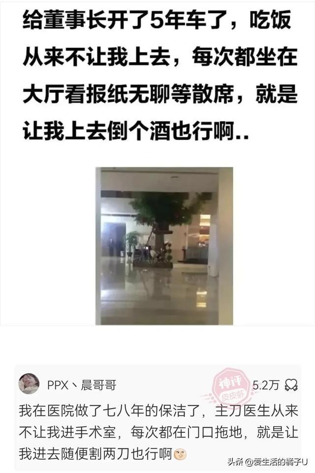 神回复:这小猫,这粗链子,火是它放的吗? 神回复:这小猫,这粗链子,火是它放的吗?