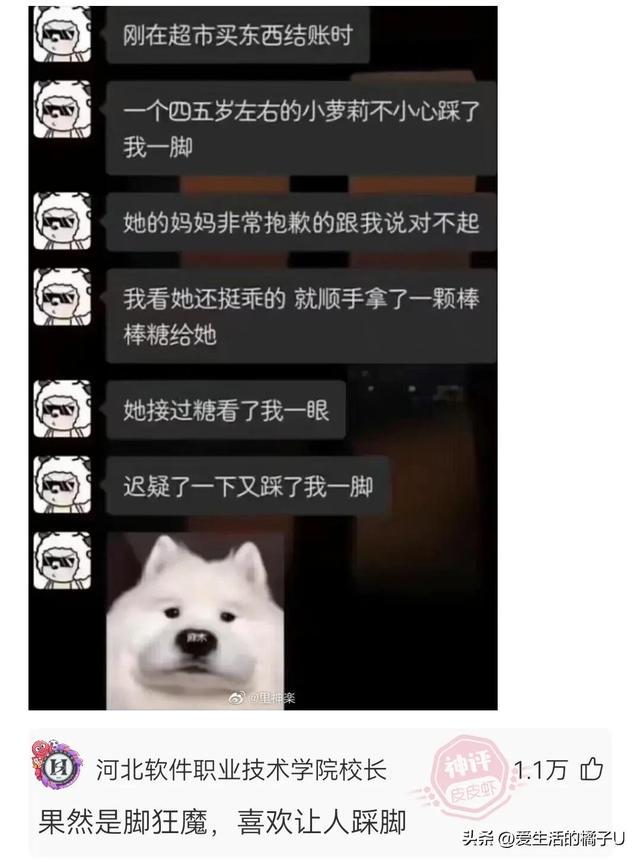 神回复:这小猫,这粗链子,火是它放的吗? 神回复:这小猫,这粗链子,火是它放的吗?