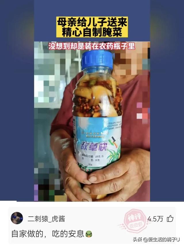 神回复:这小猫,这粗链子,火是它放的吗? 神回复:这小猫,这粗链子,火是它放的吗?