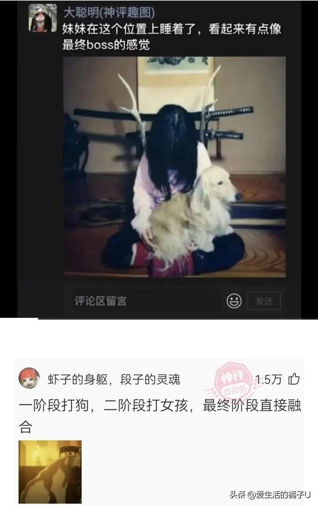 神回复:这小猫,这粗链子,火是它放的吗? 神回复:这小猫,这粗链子,火是它放的吗?