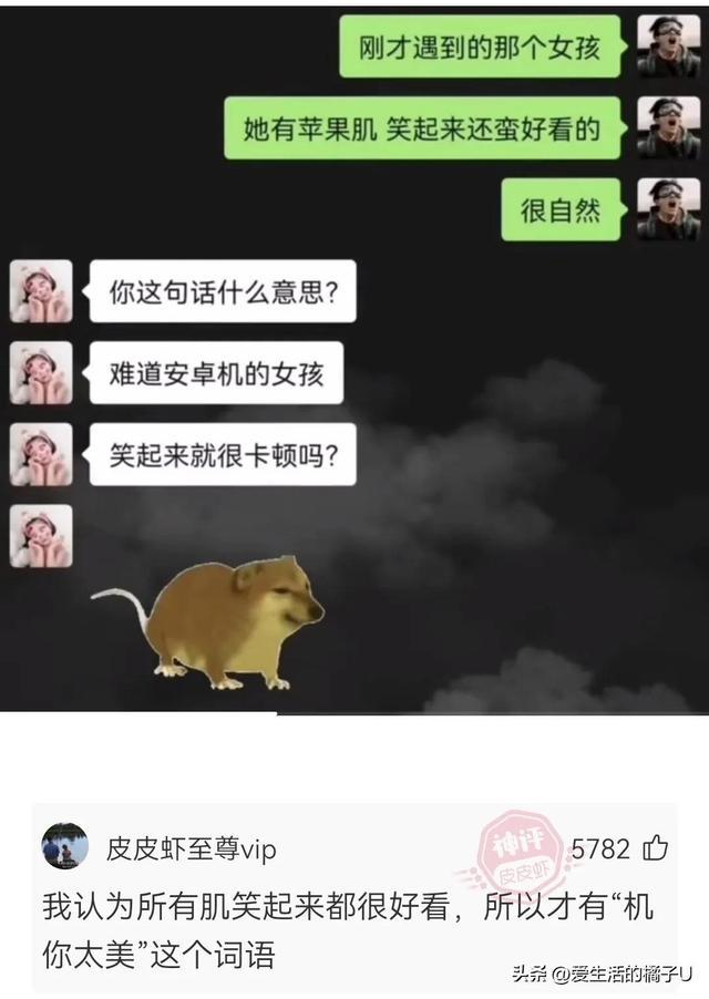 神回复：这小猫，这粗链子，火是它放的吗？