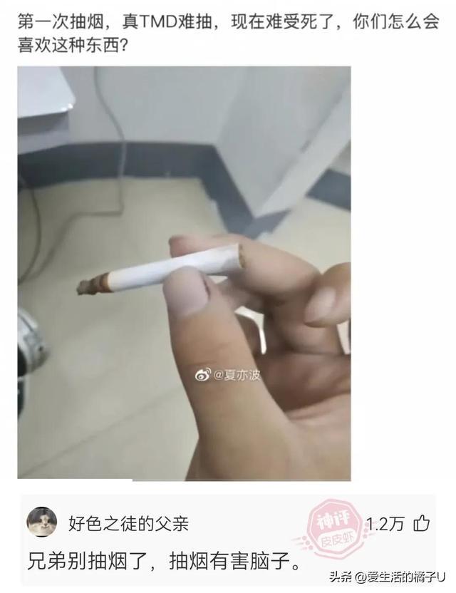 神回复:这小猫,这粗链子,火是它放的吗? 神回复:这小猫,这粗链子,火是它放的吗?