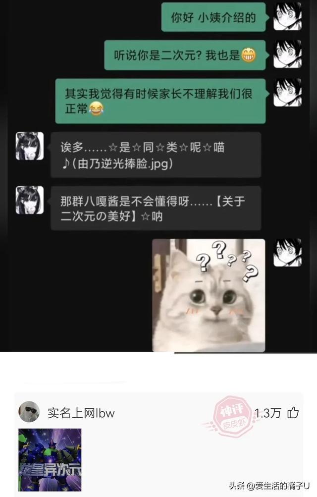 神回复：这小猫，这粗链子，火是它放的吗？