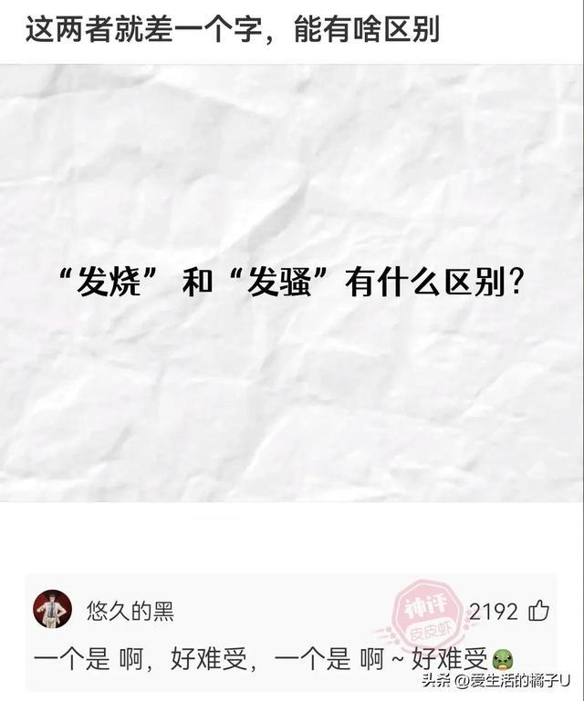 神回复:这小猫,这粗链子,火是它放的吗? 神回复:这小猫,这粗链子,火是它放的吗?