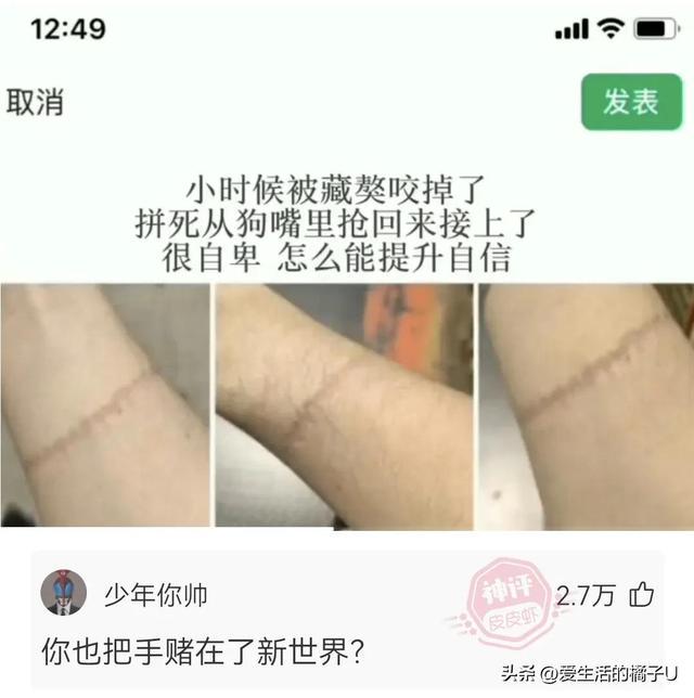 神回复：这小猫，这粗链子，火是它放的吗？