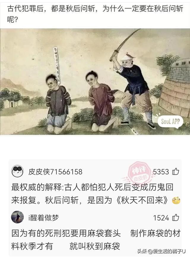 神回复：这小猫，这粗链子，火是它放的吗？