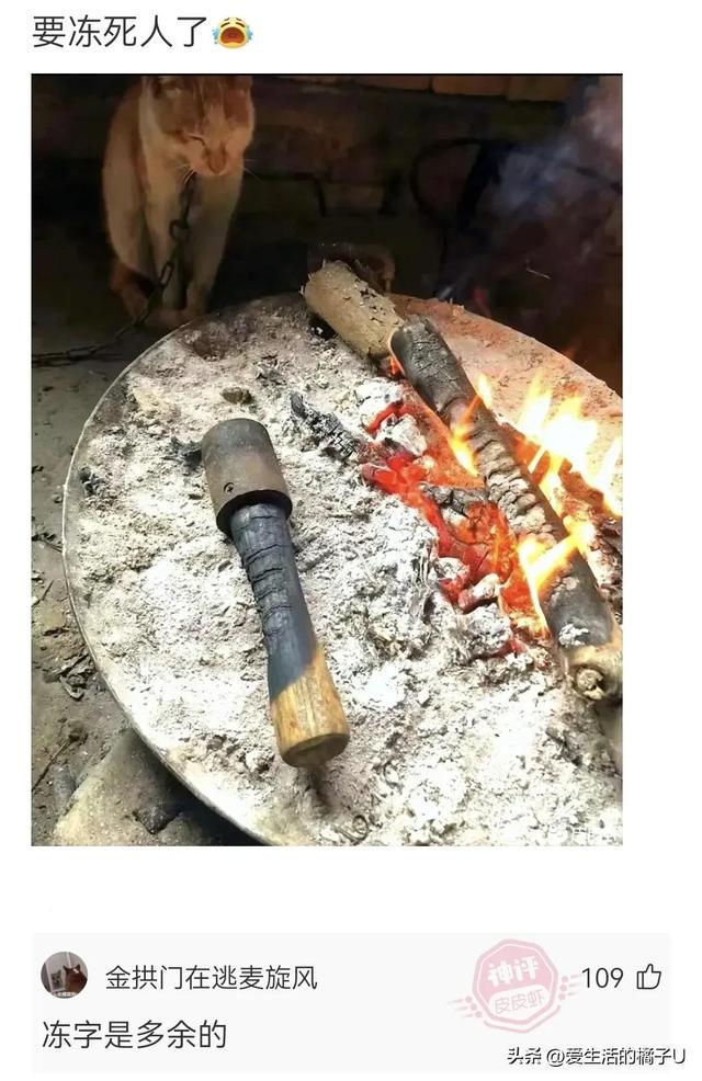 神回复:这小猫,这粗链子,火是它放的吗? 神回复:这小猫,这粗链子,火是它放的吗?