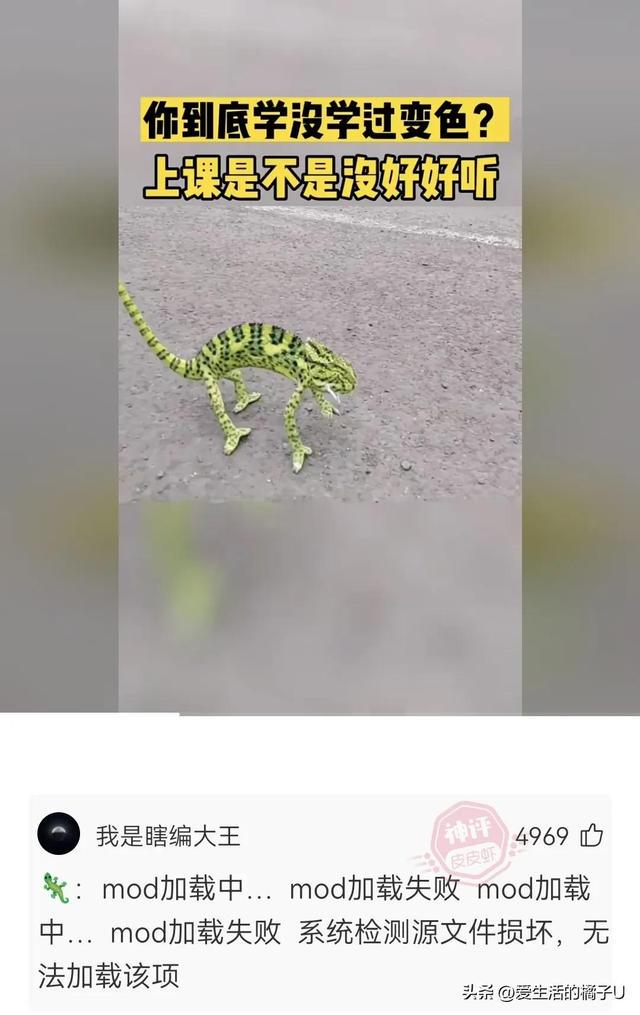 神回复:这小猫,这粗链子,火是它放的吗? 神回复:这小猫,这粗链子,火是它放的吗?