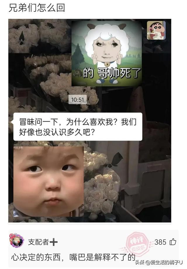 神回复:这小猫,这粗链子,火是它放的吗? 神回复:这小猫,这粗链子,火是它放的吗?