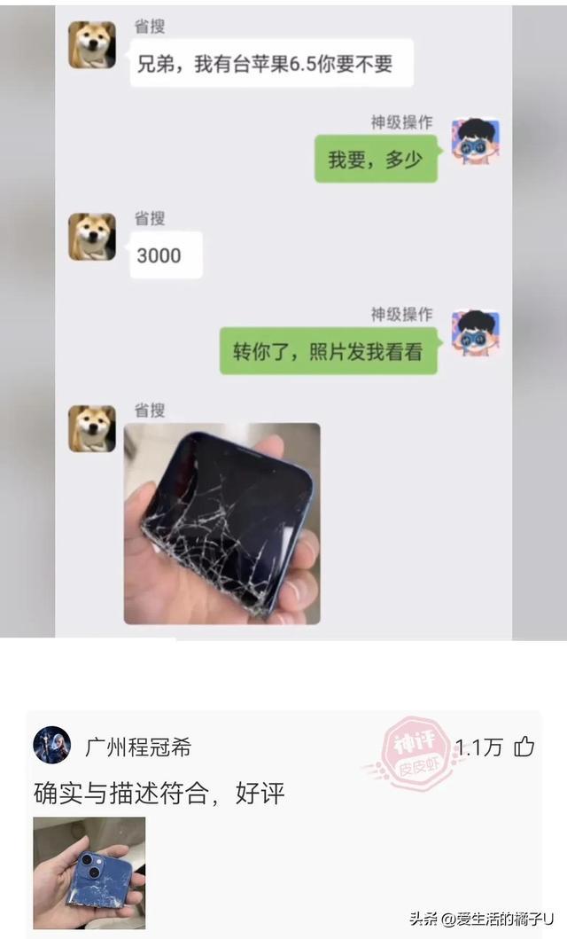 神回复:这小猫,这粗链子,火是它放的吗? 神回复:这小猫,这粗链子,火是它放的吗?