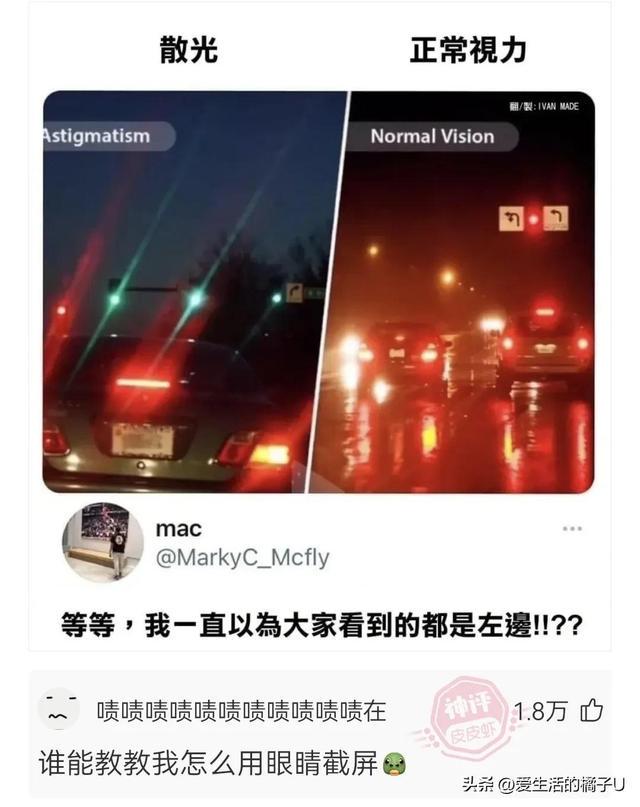 神回复:这小猫,这粗链子,火是它放的吗? 神回复:这小猫,这粗链子,火是它放的吗?