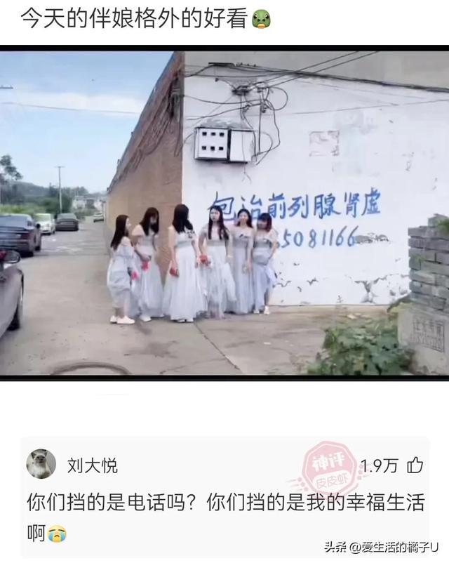 神回复:这小猫,这粗链子,火是它放的吗? 神回复:这小猫,这粗链子,火是它放的吗?
