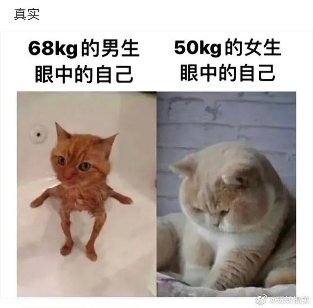 爆笑神回复:永远不要相信男朋友的拍照技术 爆笑神回复:永远不要相信男朋友的拍照技术