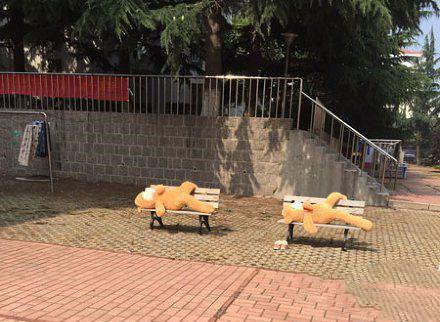 天气好,出来晒晒太阳吧! 天气好,出来晒晒太阳吧!