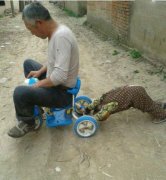 爷爷，我真的没劲了，推不动了