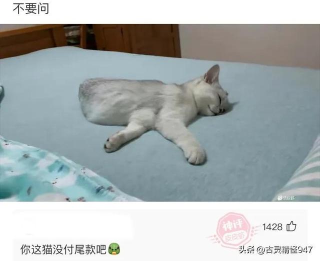 搞笑神评:我一朋友问发烧和发骚有什么区别?我该怎么给他解释呢 搞笑神评:我一朋友问发烧和发骚有什么区别?我该怎么给他解释呢