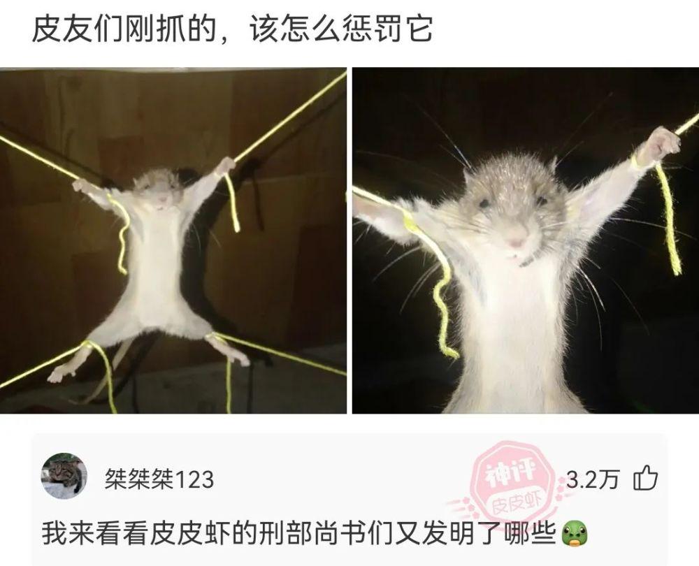 神回复:你可以辞职吗?可以让我来做 神回复:你可以辞职吗?可以让我来做