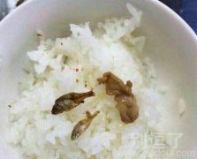 一顿大鱼大肉。。 一顿大鱼大肉。。