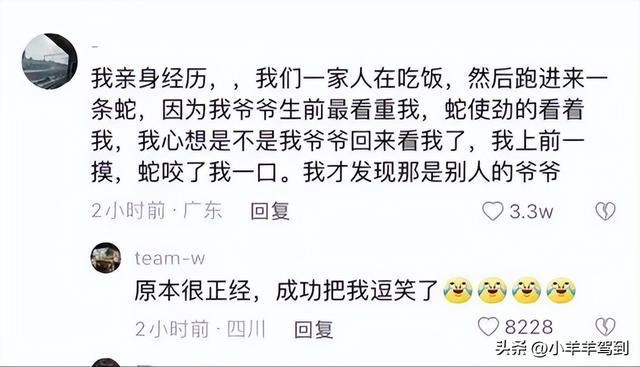 那些笑死人的聊天记录-1 那些笑死人的聊天记录-1