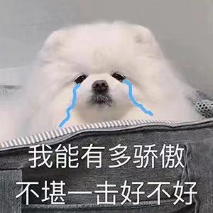 轻松一秒:想要发横财?你还差个东北大哥! 轻松一秒:想要发横财?你还差个东北大哥!
