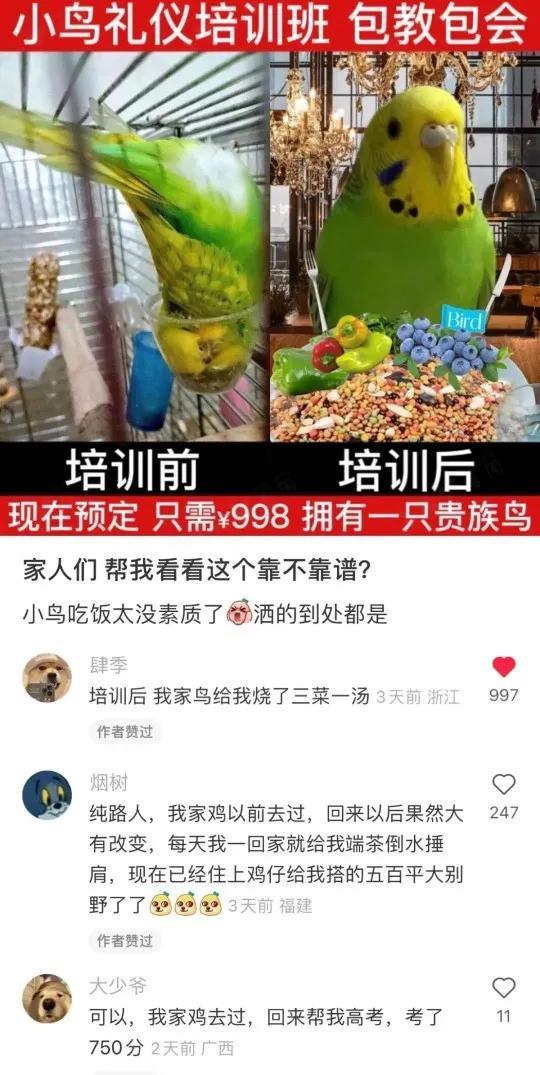 神回复：确实成熟了，但没熟透