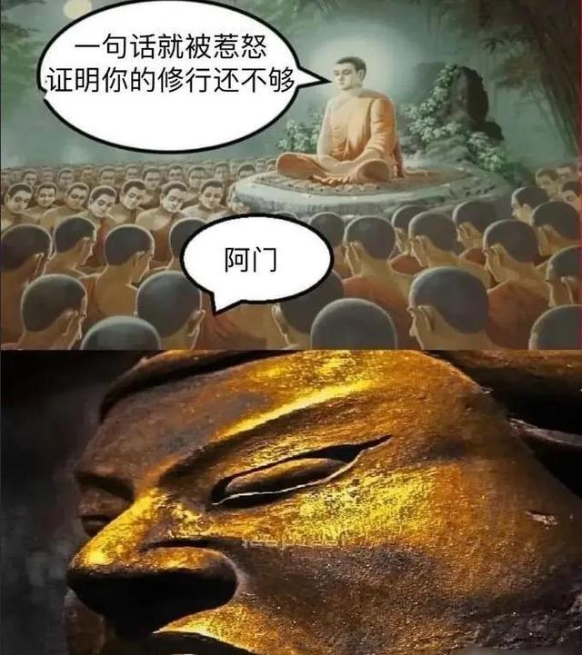 神回复:确实成熟了,但没熟透 神回复:确实成熟了,但没熟透