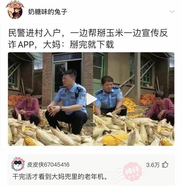 神回复：确实成熟了，但没熟透