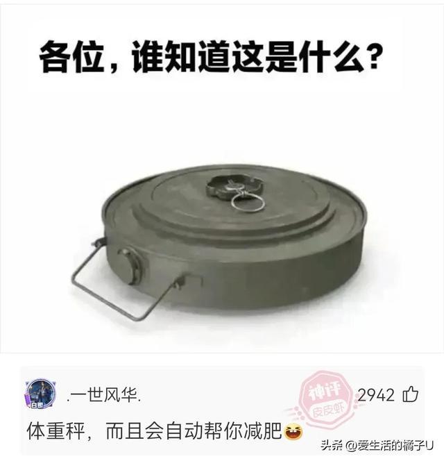 神回复：咋？你总不好意思让我带一把草回去吧