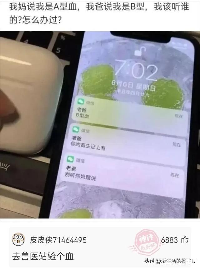 神回复:咋?你总不好意思让我带一把草回去吧 神回复:咋?你总不好意思让我带一把草回去吧