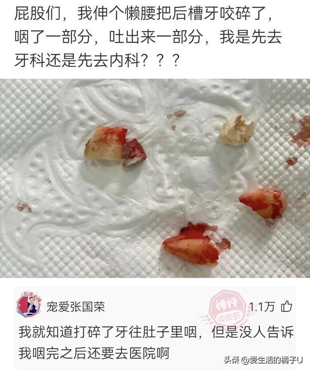 神回复：咋？你总不好意思让我带一把草回去吧