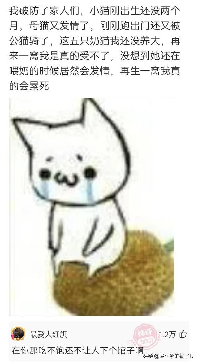 神回复:咋?你总不好意思让我带一把草回去吧 神回复:咋?你总不好意思让我带一把草回去吧