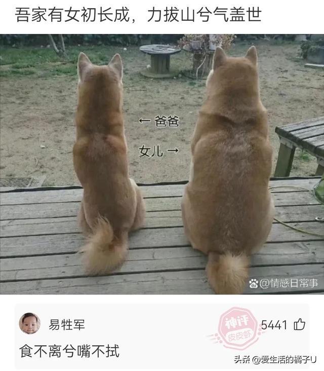 神回复:咋?你总不好意思让我带一把草回去吧 神回复:咋?你总不好意思让我带一把草回去吧