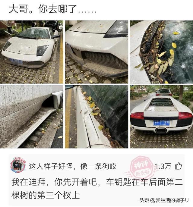 神回复:咋?你总不好意思让我带一把草回去吧 神回复:咋?你总不好意思让我带一把草回去吧