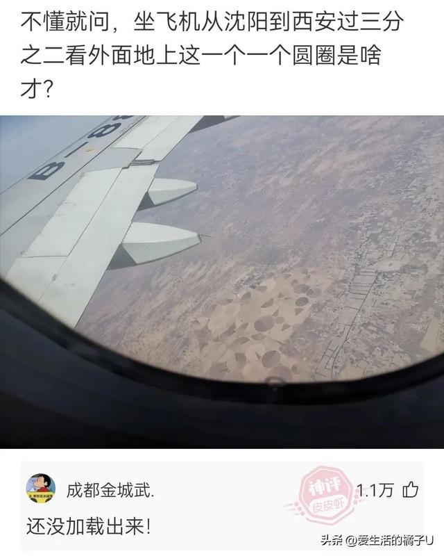 神回复:咋?你总不好意思让我带一把草回去吧 神回复:咋?你总不好意思让我带一把草回去吧