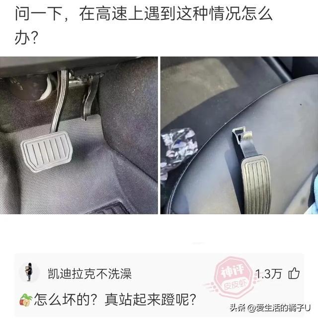 神回复：咋？你总不好意思让我带一把草回去吧