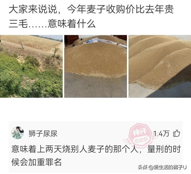 神回复:咋?你总不好意思让我带一把草回去吧 神回复:咋?你总不好意思让我带一把草回去吧