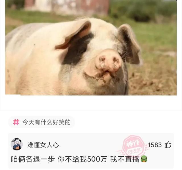 神回复第51篇 去年买了10个,现在供电局每月给我打钱 神回复第51篇 去年买了10个,现在供电局每月给我打钱