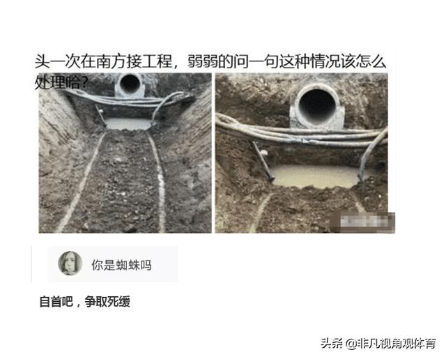 神回复：第一次干工程，挖断这个怎么办？网友：自首吧，争取死缓