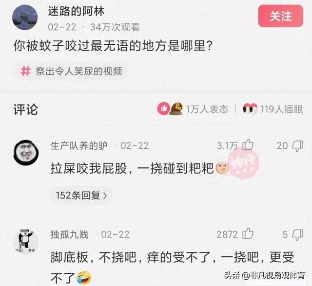 神回复：第一次干工程，挖断这个怎么办？网友：自首吧，争取死缓