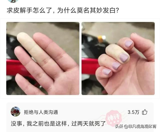 神回复：第一次干工程，挖断这个怎么办？网友：自首吧，争取死缓