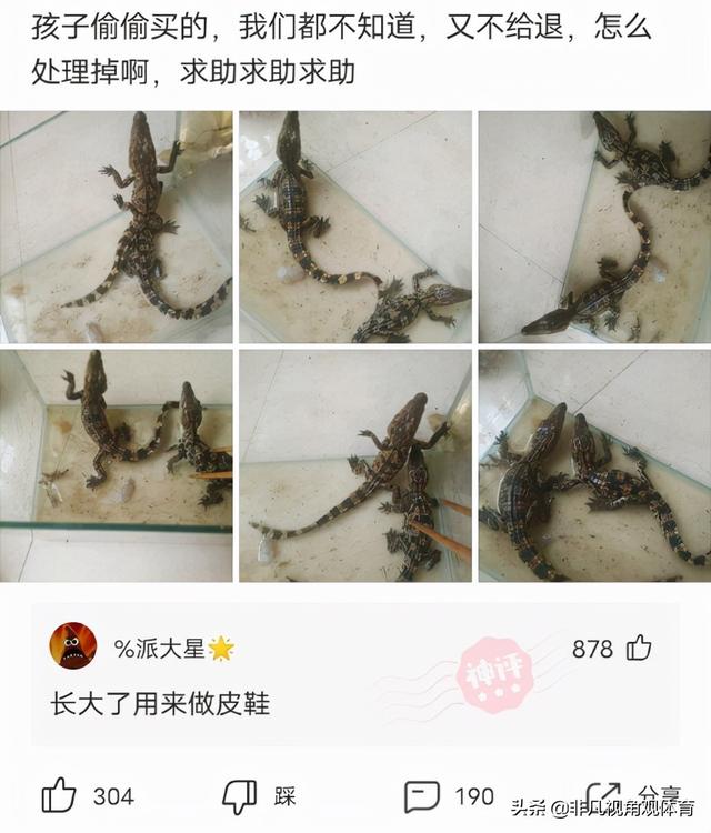 神回复：第一次干工程，挖断这个怎么办？网友：自首吧，争取死缓