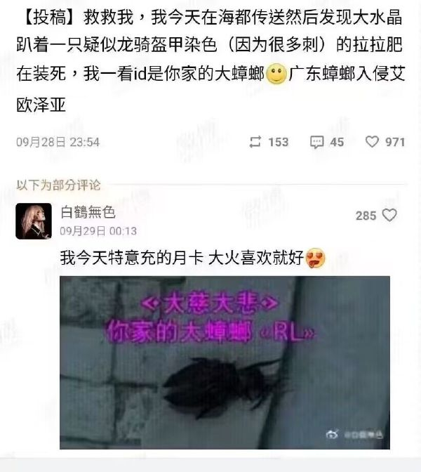 轻松一刻:钓鱼佬夜钓遇美人,靠这么近不太好吧? 轻松一刻:钓鱼佬夜钓遇美人,靠这么近不太好吧?